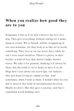 Cat People + Dog People